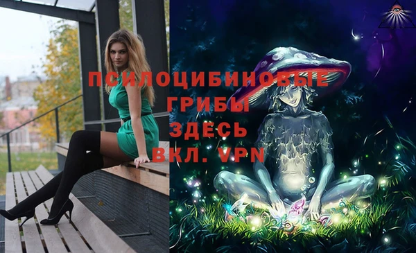 шишки Богданович