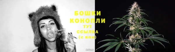 мескалин Богородицк