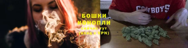 мескалин Богородицк