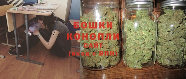 шишки Богданович